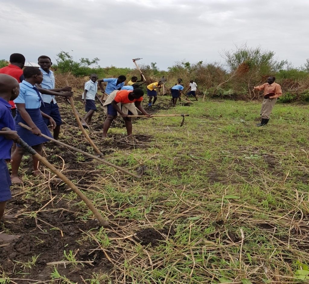 Orphans and Agriculture Project