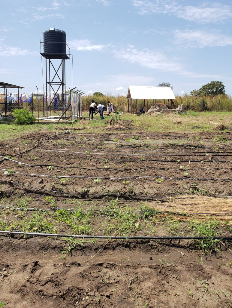 drip irrigation - water tower
